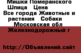 Мишки Померанского Шпица › Цена ­ 60 000 - Все города Животные и растения » Собаки   . Московская обл.,Железнодорожный г.